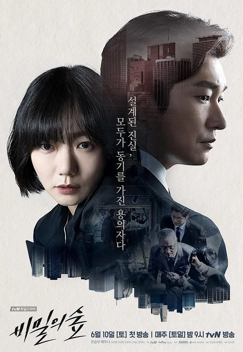 [韩剧]《秘密森林》(2017)海报封面