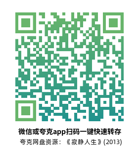 [剧情电影]《寂静人生》(2013)高清片源下载【夸克网盘资源1080P】-319影社