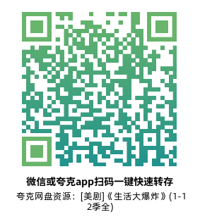 [美剧]《生活大爆炸》(1-12季全)高清片源下载【夸克网盘资源1080P蓝光收藏版】-319影社