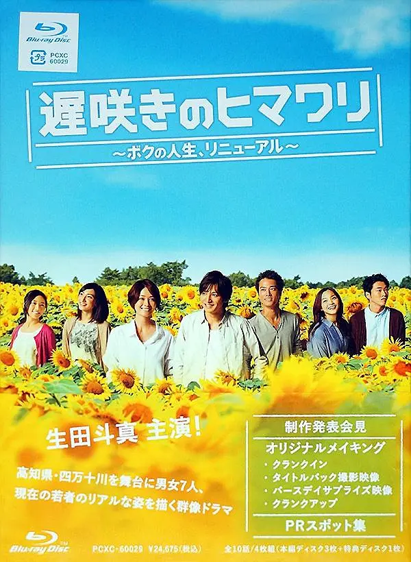 [日剧]《迟开的向日葵》(2012)(10集全) 高清片源下载【夸克网盘资源1080P】-319影社