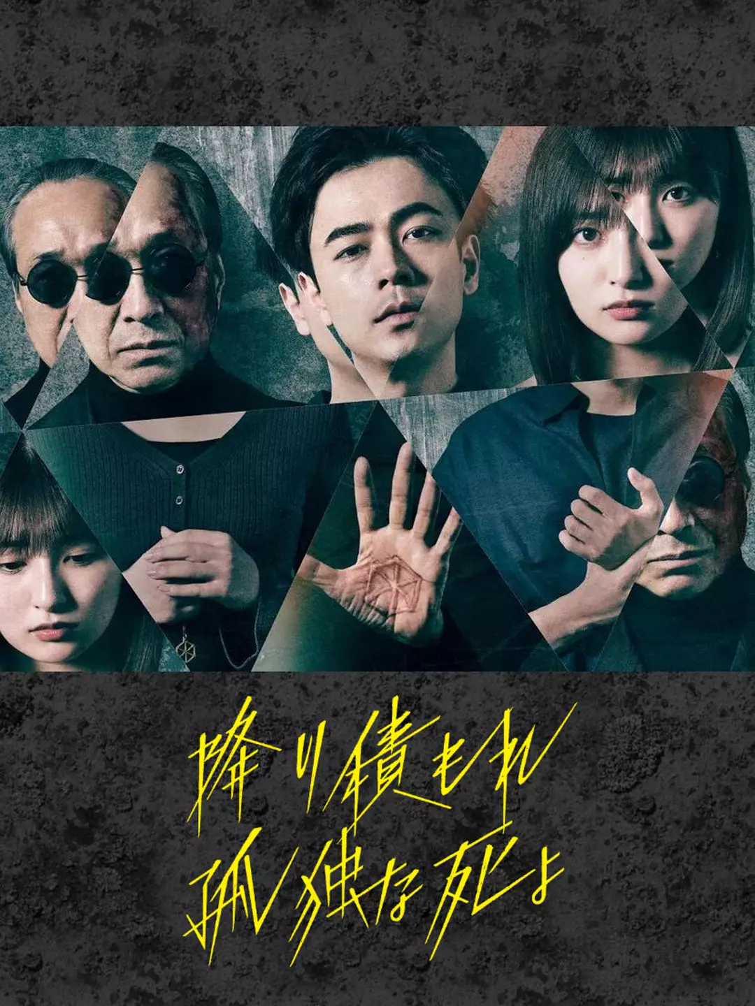 [日剧]《如积雪般的永寂》(2024)(10集全) 高清片源下载【夸克网盘资源1080P】-319影社