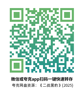 [战争电影]《二战黑豹》(2025)高清片源下载【夸克网盘资源1080P】-319影社