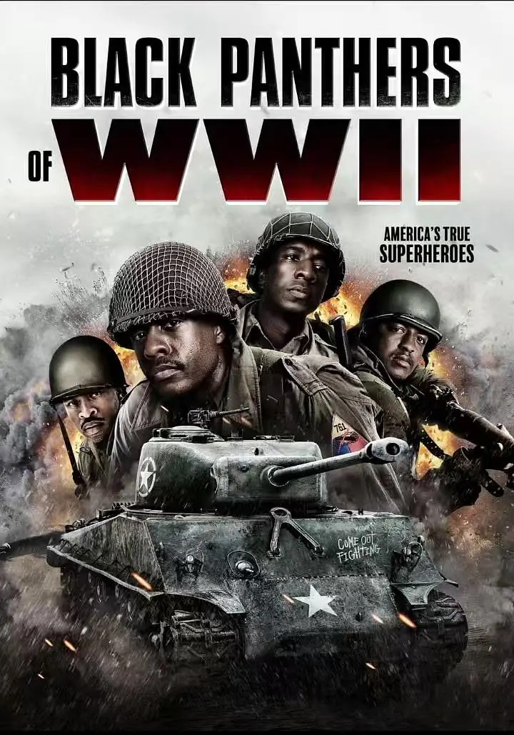 [战争电影]《二战黑豹》(2025)高清片源下载【夸克网盘资源1080P】-319影社