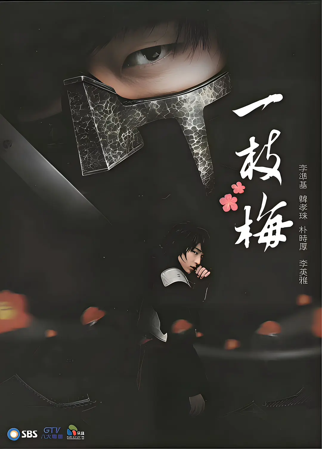 [韩剧]《一枝梅》(2008) [20集全] 夸克网盘高清资源下载-319影社