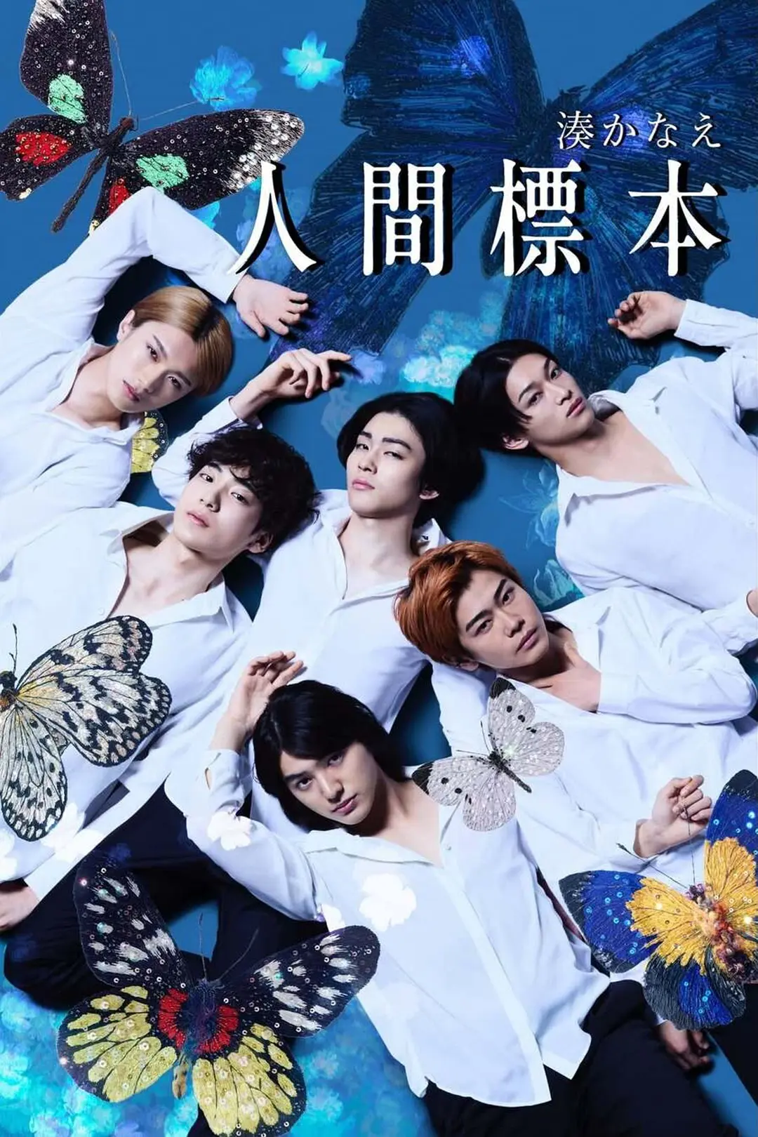 [日剧]《人类标本》(2025) [5集全] 夸克网盘1080P高清资源下载-319影社